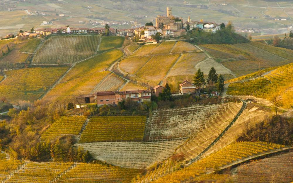 Hotel Langhe & Monferrato Costigliole d'Asti Extérieur photo